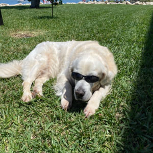 Meet your Posher, Seth